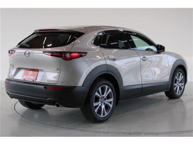 ＣＸ－３０（新潟県新潟市東区）