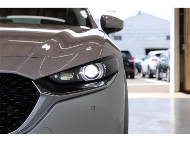 ＣＸ－３０（新潟県新潟市東区）