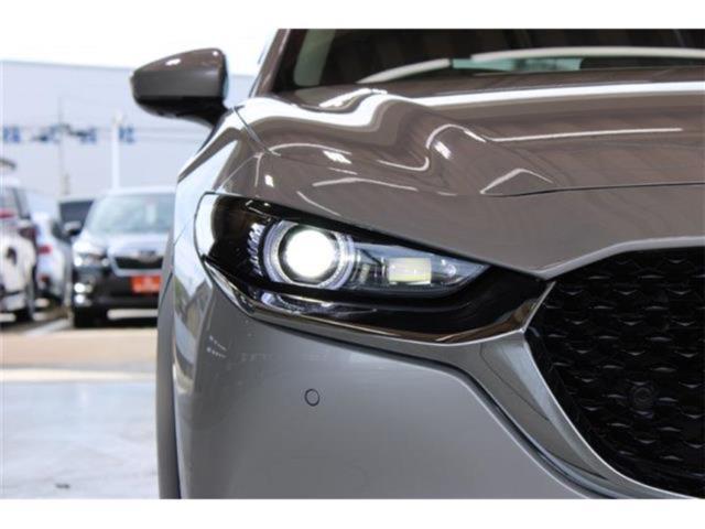 ＣＸ－３０（新潟県新潟市東区）