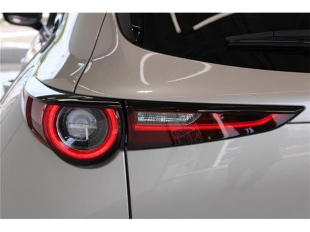 ＣＸ－３０（新潟県新潟市東区）