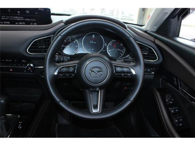 ＣＸ－３０（新潟県新潟市東区）