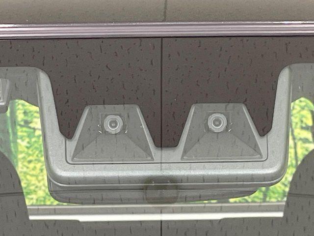 タフト（新潟県長岡市）画像3