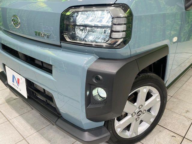タフト（新潟県長岡市）画像13