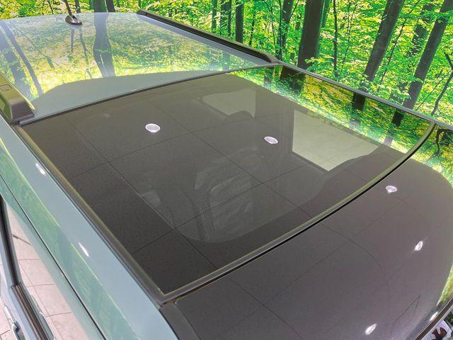 タフト（新潟県長岡市）画像65