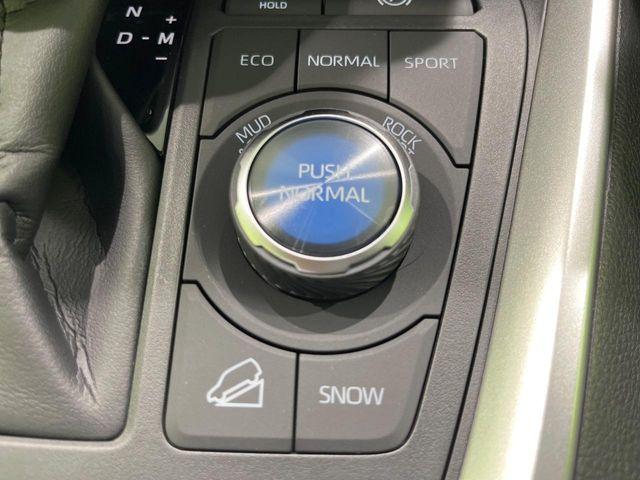 ＲＡＶ４（新潟県長岡市）画像61
