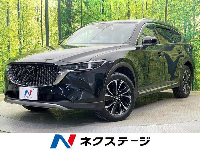 CX-8（新潟県新潟市南区）