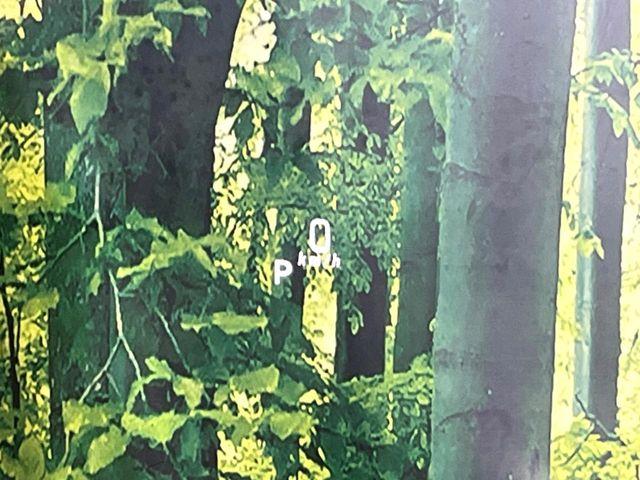 フレアワゴン（新潟県新潟市東区）画像29