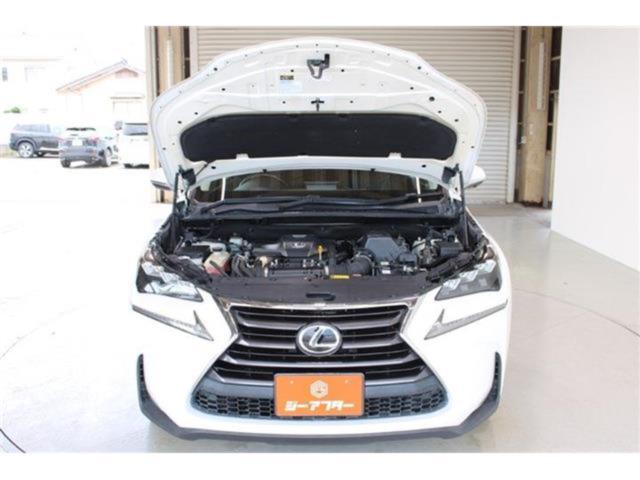 レクサスＮＸ（新潟県新潟市東区）