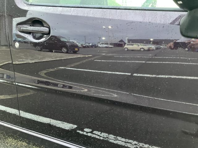 フレア（新潟県新潟市西蒲区）画像9