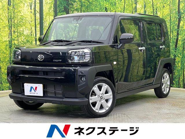 タフト（新潟県新潟市南区）