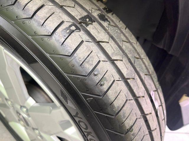 タフト（新潟県新潟市東区）画像24