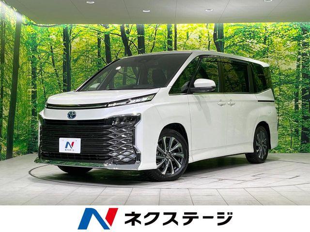 ヴォクシー（新潟県長岡市）