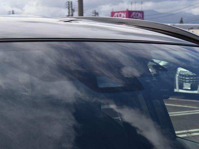 ＲＡＶ４（新潟県上越市）画像22