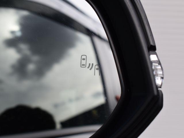 ＲＡＶ４（新潟県上越市）画像41