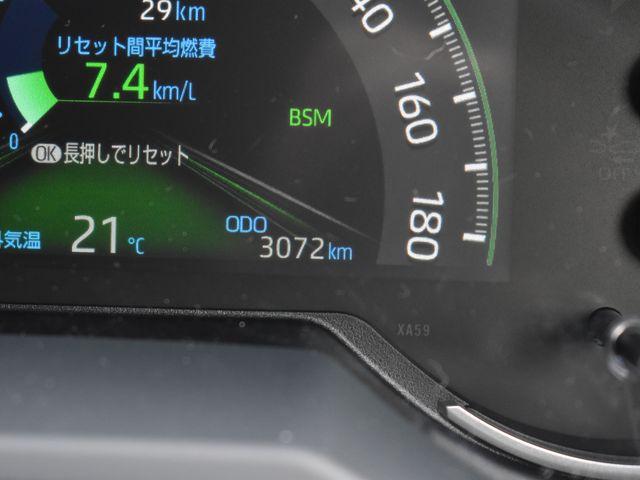 ＲＡＶ４（新潟県上越市）画像51