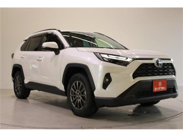 ＲＡＶ４（新潟県新潟市東区）画像14