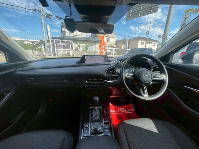 ＣＸ－３０（新潟県新潟市南区）画像35