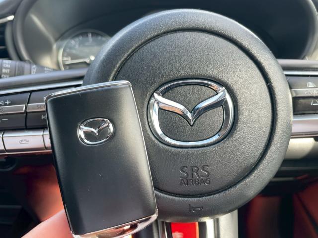 ＣＸ－３０（新潟県新潟市南区）画像62