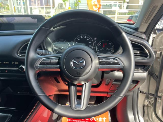ＣＸ－３０（新潟県新潟市南区）画像24