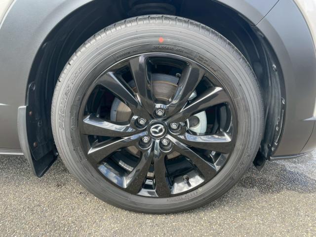 ＣＸ－３０（新潟県新潟市南区）画像19