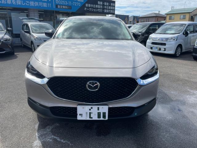 ＣＸ－３０（新潟県新潟市南区）画像3