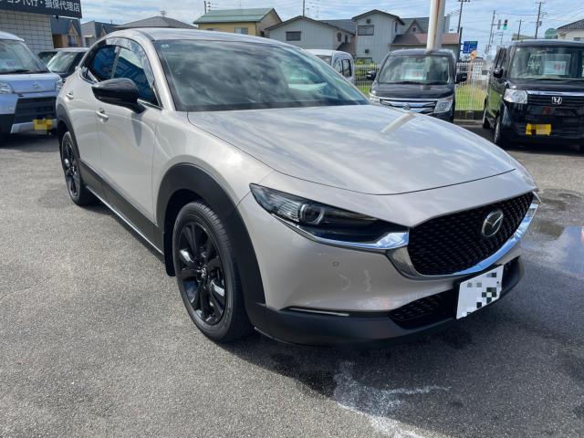 ＣＸ－３０（新潟県新潟市南区）画像4
