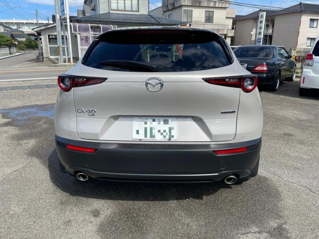 ＣＸ－３０（新潟県新潟市南区）画像5