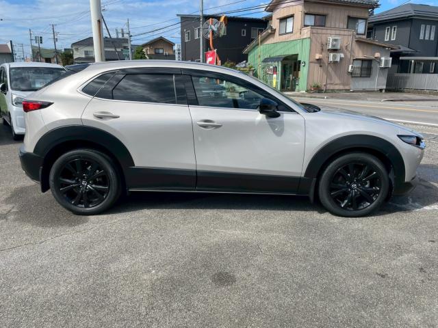 ＣＸ－３０（新潟県新潟市南区）画像7