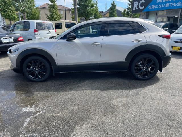 ＣＸ－３０（新潟県新潟市南区）画像8
