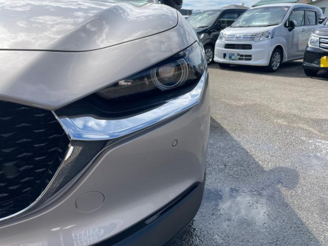 ＣＸ－３０（新潟県新潟市南区）画像10