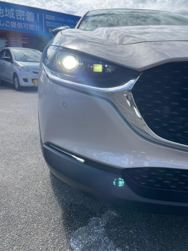 ＣＸ－３０（新潟県新潟市南区）画像11