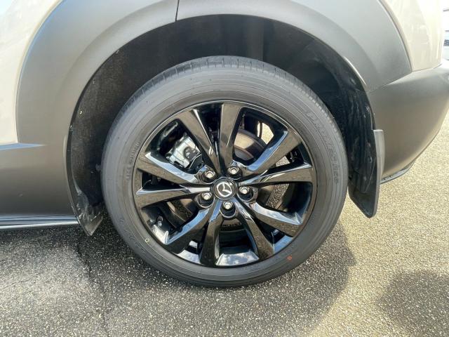 ＣＸ－３０（新潟県新潟市南区）画像21
