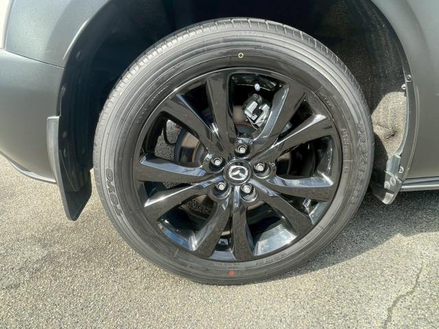 ＣＸ－３０（新潟県新潟市南区）画像22