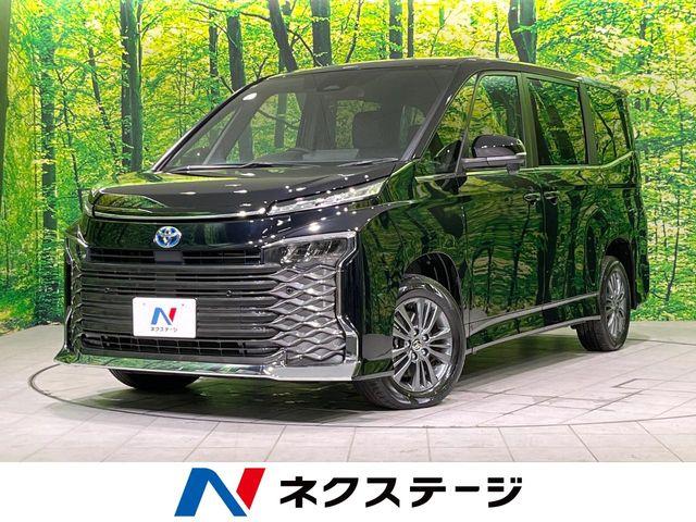 ヴォクシー（新潟県長岡市）