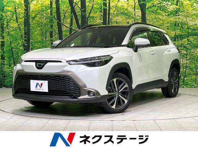 カローラクロス（新潟県長岡市）