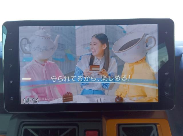 タフト（新潟県十日町市）画像29