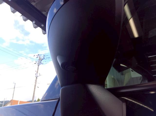 タフト（新潟県十日町市）画像40