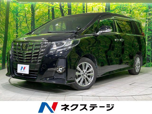 アルファード（新潟県長岡市）