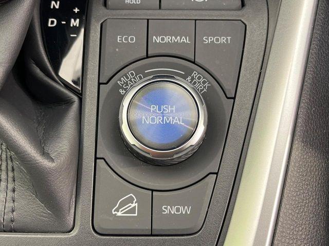 ＲＡＶ４（新潟県新潟市南区）画像61