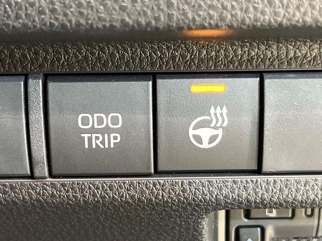 ＲＡＶ４（新潟県新潟市南区）画像66