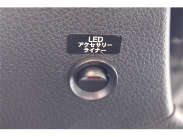 レヴォーグ（新潟県新潟市東区）