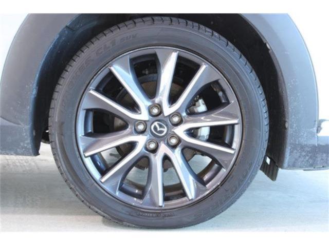 CX-3（新潟県新潟市東区）画像23