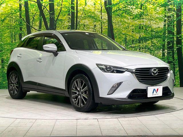 CX-3（新潟県長岡市）画像16