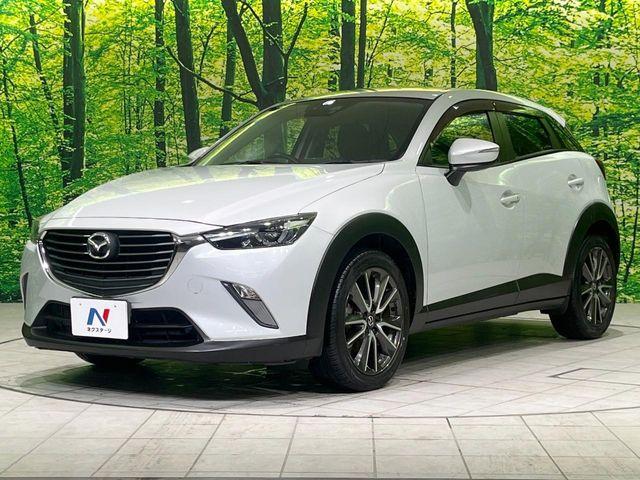 CX-3（新潟県長岡市）画像27