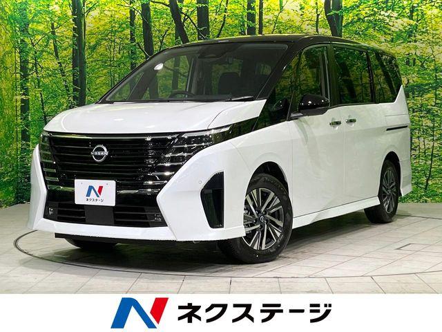 セレナ（新潟県長岡市）