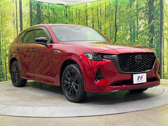 CX-60（新潟県新潟市南区）画像16