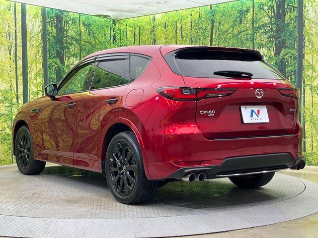 CX-60（新潟県新潟市南区）画像28