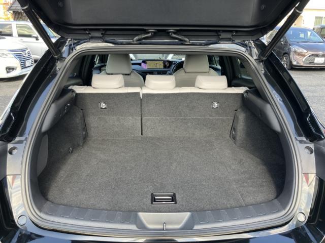 レクサスUX（新潟県新潟市西区）画像45