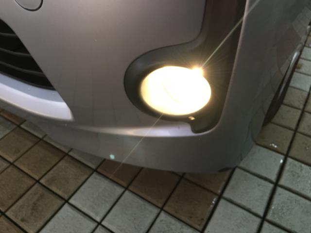 デイズルークス（新潟県新潟市西区）