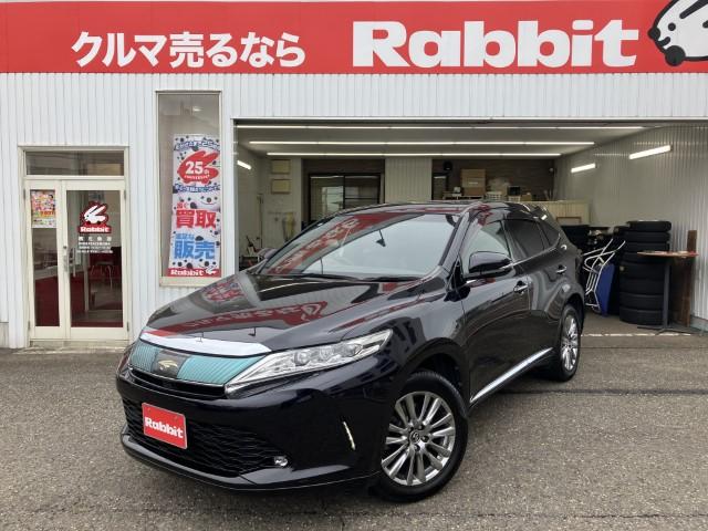 ハリアー（新潟県燕市）